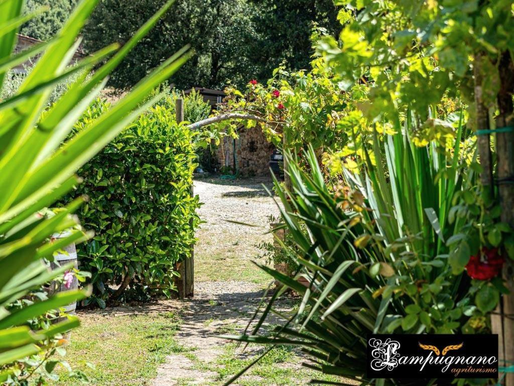 Agriturismo Lampugnano 파가니코 외부 사진